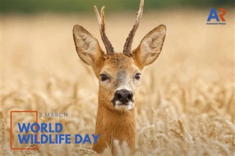 🌍 Merayakan Hari Satwa Liar Sedunia: Melestarikan Alam, Menjunjung Tanggung ...